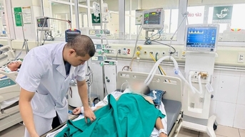 Hôn mê, mắc thể dại hung dữ do mèo cắn