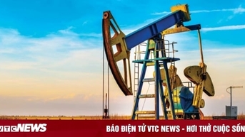 Giá xăng dầu hôm nay 30/11: Giảm nhẹ