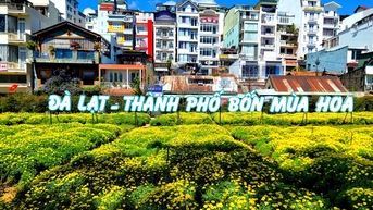 Đà Lạt rạng rỡ sắc hoa trong những ngày kỷ niệm 130 năm