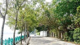 Con đường chỉ 1 km ở Việt Nam vào top 30 con đường đẹp nhất thế giới