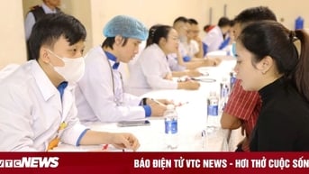 Phát hiện 973 trường hợp dương tính vi khuẩn gây bệnh dạ dày qua test nhanh