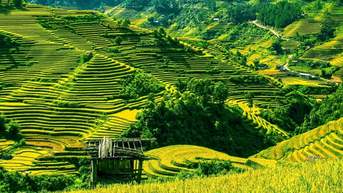 Đẹp ngỡ ngàng với những ruộng bậc thang nổi tiếng tại Việt Nam