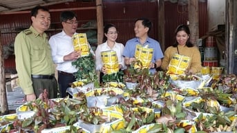Đây là xã nông thôn mới đầu tiên của huyện Mù Cang Chải, tỉnh Yên Bái