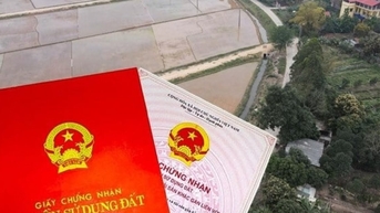 Các địa phương phải ban hành đầy đủ văn bản quy định chi tiết Luật Đất đai trước 31/10