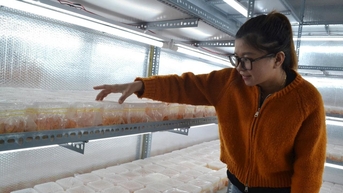 OCOP Quảng Nam và kỳ vọng phát triển năm 2025