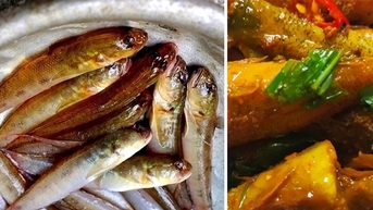 ដើរកាត់ទន្លេ Cu De ក្នុងទីក្រុង Da Nang ដើម្បីចាប់ត្រី goby ប្រជាជនប្រកួតប្រជែងទិញវាជាកំណប់រមៀតដើម្បីព្យាបាលអ្នកមាន