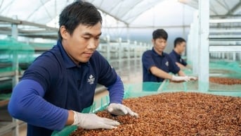 Thương hiệu cà phê hữu cơ L’amant Café đạt Thương hiệu quốc gia 2024