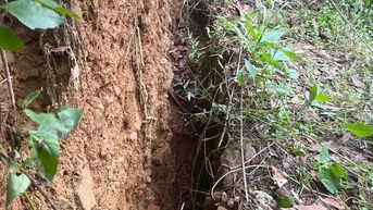 Quảng Ngãi: Núi nứt dài 60m đe dọa trường mầm non, nhiều nhà dân