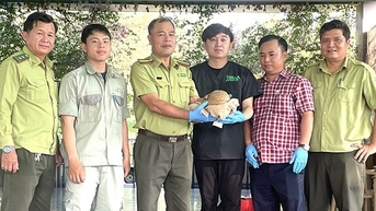 Ở Bình Định, dân nộp vô số động vật hoang dã, có con vật rơi xuống hồ, rắn hổ mang một mắt kính