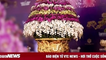 Cận cảnh chậu hoa lan dát vàng khổng lồ giá gần 4 tỷ đồng chào Tết 2024