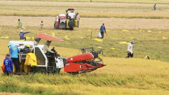 Kinh nghiệm quốc tế trong phát triển nông nghiệp xanh