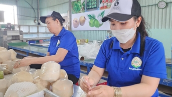Chuyến xe đầu tiên vận chuyển dừa tươi từ Tiền Giang sang Trung Quốc