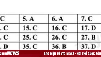 Gợi ý đáp án đề thi tiếng Anh vào lớp 10 Hà Nội mã đề 003