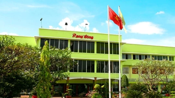 Rạng Đông Holding RDP bị nhắc nhở chậm công bố thông tin