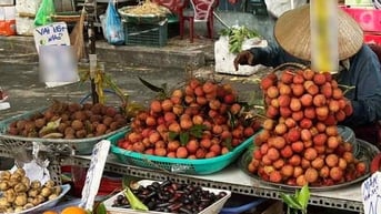 Vải thiều sớm "hết mùa" tại các chợ ở TPHCM