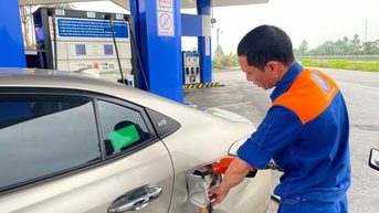 Giá xăng dầu hôm nay ngày 28/9/2024: Giá dầu ổn định