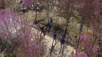 ទំនៀមទម្លាប់ប្លែកពីគេនៅកន្លែងដែលបុរសបោសផ្ទះរាល់តេត