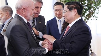 Thủ tướng hội đàm với Tổng thống Brazil: Việt Nam – Brazil nâng cấp quan hệ lên Đối tác chiến lược