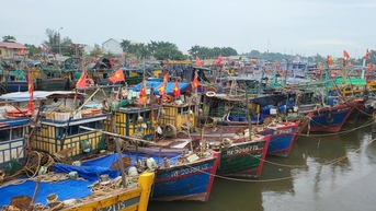 Tàu cá Hải Phòng vươn khơi trở lại, giá hải sản tươi sống tăng gấp đôi