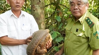 Vô tình đụng trúng con động vật hoang dã đang cho con bú ở vườn điều Bình Phước, báo công an