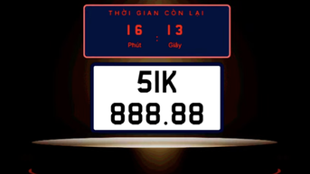 Biển số xe trúng đấu giá có phải là tài sản?
