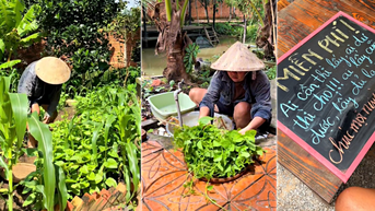 Cha con ở miền Tây trồng rau sạch tặng người đi đường