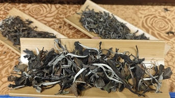 Loại trà đặc biệt 25 triệu đồng/kg