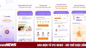 Top 6 ứng dụng theo dõi thai kỳ được mẹ bầu tin tưởng