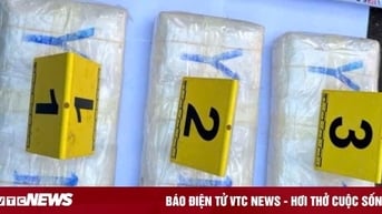 Bắt thanh niên vận chuyển 18.000 viên ma túy