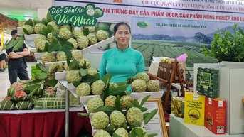 Xuất hiện một tấm bản đồ Việt Nam đặc biệt, làm toàn bằng thứ quả lắm mắt ở một phiên chợ giữa Hà Nội