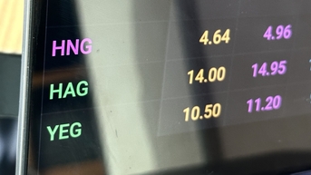 HNG và HAG ngược dòng thị trường