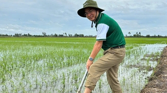 ការដាំដុះស្រូវស្អាតដោយប្រើបច្ចេកវិទ្យាបង្កើនប្រាក់ចំណូលរបស់កសិករ