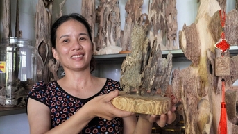 មនុស្សផ្លាស់ប្តូរជីវិត ទិញឡាន សាងសង់ផ្ទះស្អាត ដោយសាររុក្ខជាតិដែលផ្តល់ក្លិនក្រអូប។