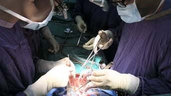 Kỷ lục ghép tạng tại Bệnh viện Hữu nghị Việt Đức
