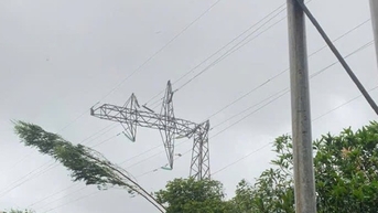 Cập nhật tiến độ khắc phục sự cố đường dây 500kV sau bão số 3