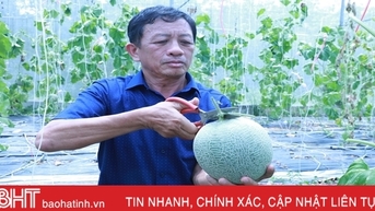 “Yêu nước thì phải thi đua”