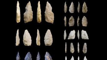 កំណប់ទ្រព្យអាយុ 76,000 ឆ្នាំបង្ហាញអំពីកុលសម្ព័ន្ធ "កំពូលមនុស្ស"