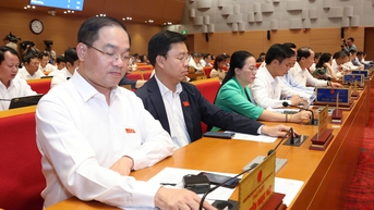 Hà Nội chi thêm hơn 37 tỷ đồng hỗ trợ sản xuất sau bão số 3