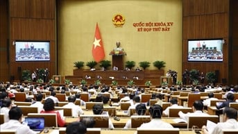 Tuần làm việc thứ 4, Kỳ họp thứ 7, Quốc hội khóa XV: Tập trung cho công tác lập pháp