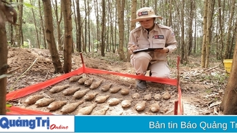 Hủy nổ an toàn 29 quả đạn cối
