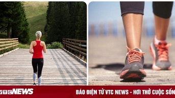 Mỗi ngày đi bộ bao nhiêu km là đủ?