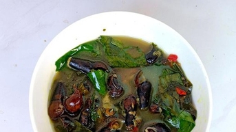 Lội suối ở Quảng Nam, Quảng Ngãi bắt con động vật thân mềm này nấu canh lá rừng, ngon ơi là ngon
