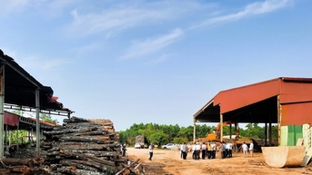 Chấp thuận chủ trương dời nhà máy công ty lâm sản để GPMB cao tốc Vạn Ninh