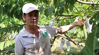 Trồng cây na sầu riêng quả to bự, nuôi bò vỗ béo kiểu gì mà ông nông dân Sơn La bỏ túi hơn nửa tỷ?