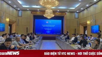 Doanh nghiệp nhỏ và vừa đang gặp khó khăn trong quá trình chuyển đổi số