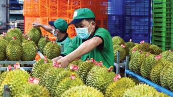 Con đường mở ra cánh cửa mới cho nông sản