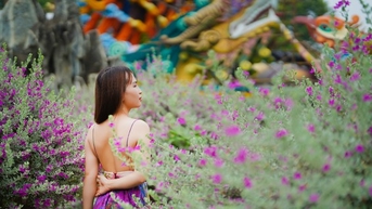Ngắm loài hoa cùng tên với tiểu thuyết kiếm hiệp của nhà văn Kim Dung
