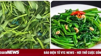 Những người tuyệt đối không nên ăn rau muống