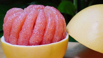 술을 마신 후에 자몽을 먹어도 괜찮을까?