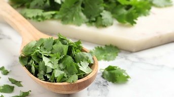 Ngò rí có nhiều lợi ích không ngờ